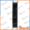 Poulie damper vilebrequin pour CITROEN | RKP-CT-004, 04460